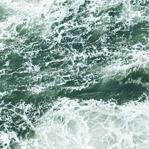 Meet your Posher, Charles